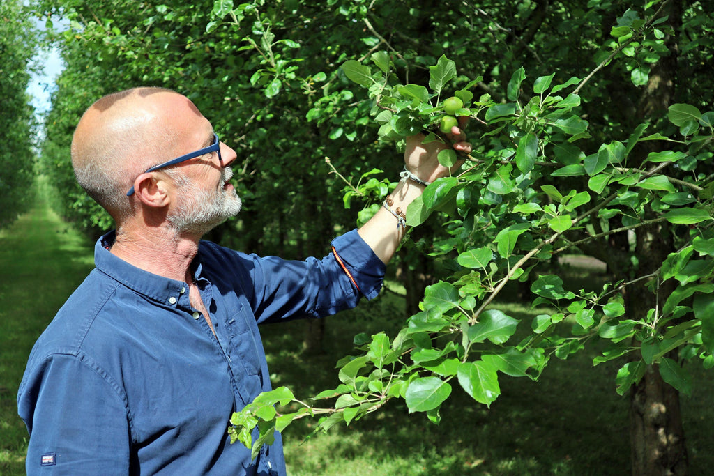 An Update from Our Organic Orchards, July 2023