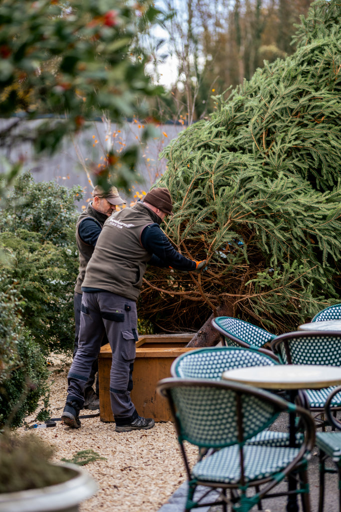 Make This Winter One to Remember, All Our December Events!