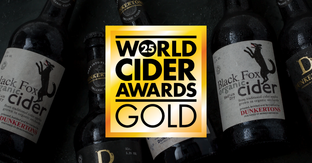 World Cider Award 2025 - Gold for Black Fox