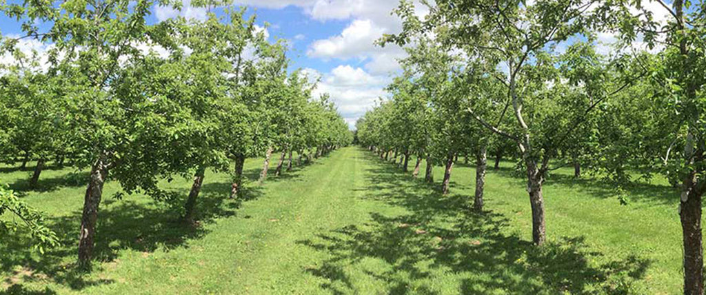 2017 Harvest Season Starting Soon